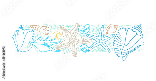 Vector frame, border, vignettes of line art tropical sea elements, seashells, starfish. Doodles of marine life. Sea decor. Ocean, sea creatures. Maritime illustration