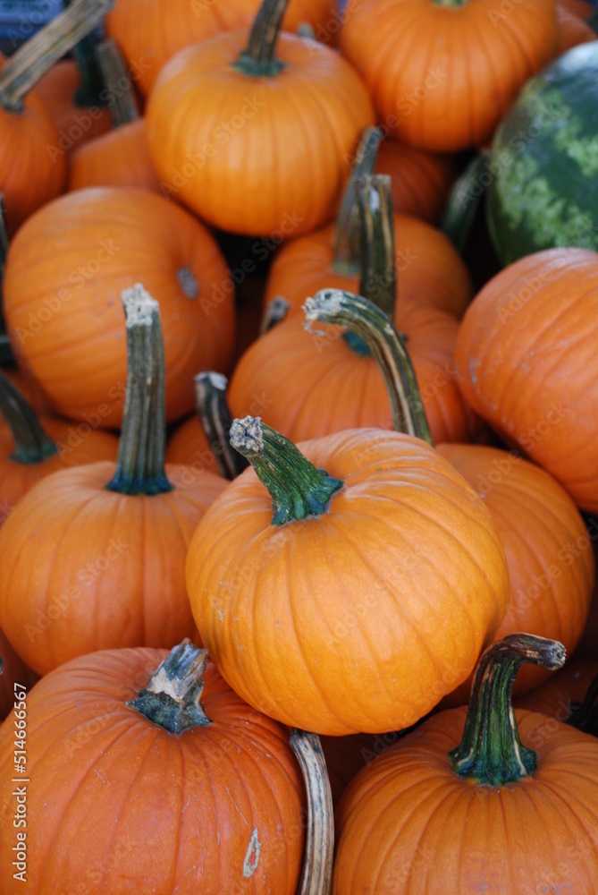 Pumpkins Pumpkins