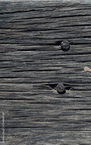 Wood texture. Surface of teak wood background for design and decoration