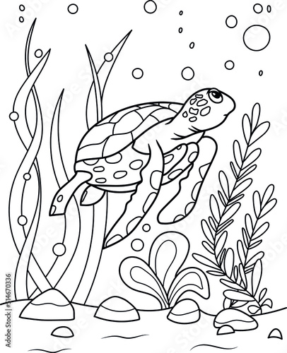 Photography Sea Turle Coloring Page For Kids