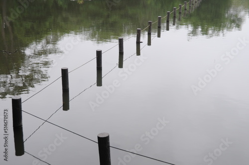 reflection of wooden posts in the water