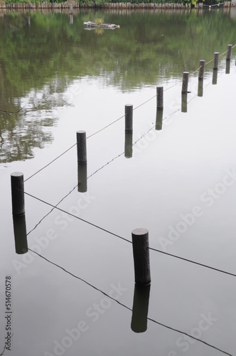 wooden posts reflecting in lake