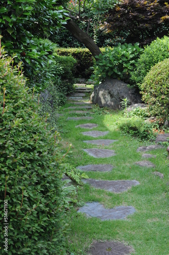 path in the forest