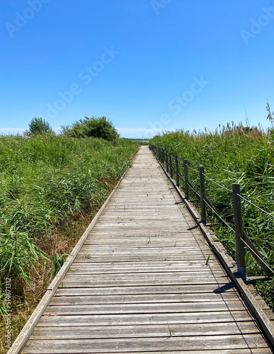 Ponton en bois  r  serve naturelle de l     tang du M  jean  Occitanie