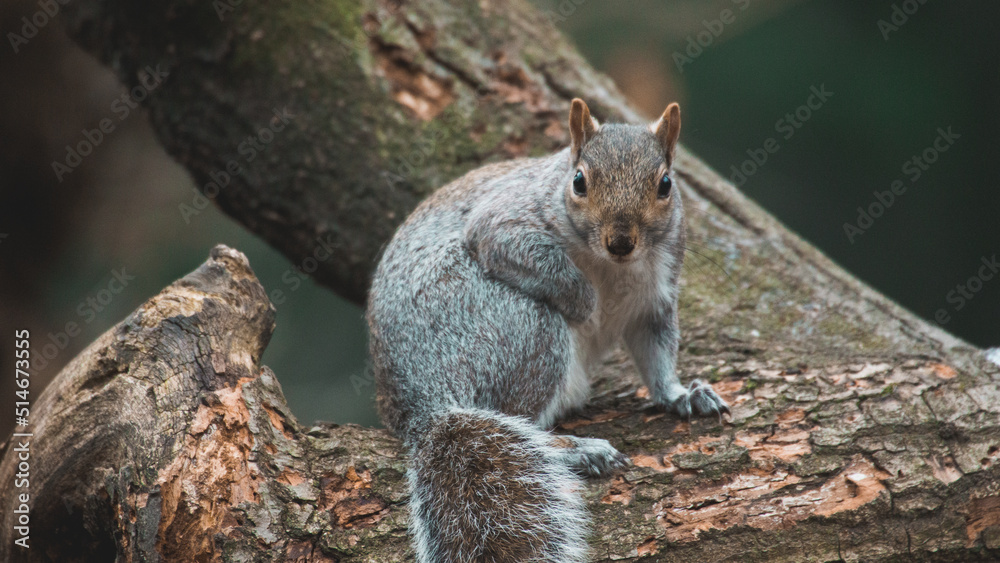 Obraz premium What you doing there