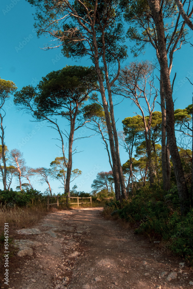 Italy, July 2022: view of the tremiti islands in puglia with its crystalline sea, nature and coves Italy, July 2022: view of the tremiti islands in puglia with its crystalline sea, nature and coves
