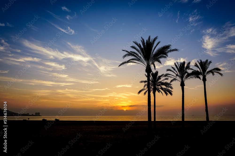 Silhouettes of palm trees on the beach at orange sunset