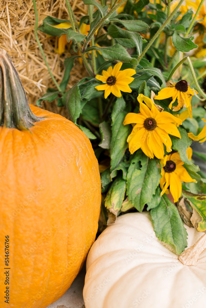 Φωτογραφία A decorative autumn front porch set up with pumpkins, gourds, mums, black eyed Susan’s, and a hay bale