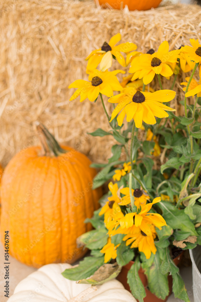 A decorative autumn front porch set up with pumpkins, gourds, mums, black eyed Susan’s, and a hay bale. A decorative autumn front porch set up with pumpkins, gourds, mums, black eyed Susan’s, and a hay bale.