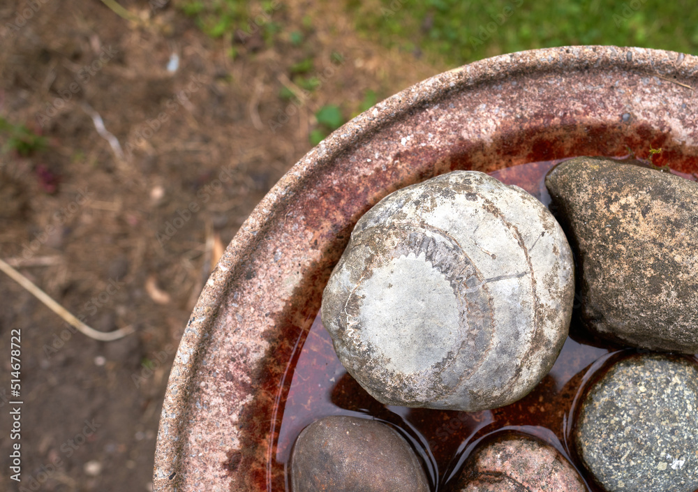 Smooth round stones in a bowl of water Smooth round stones in a bowl of water