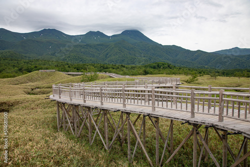 Wooden boardwalk in Shiretoko National Park, Hokkaido, Japan