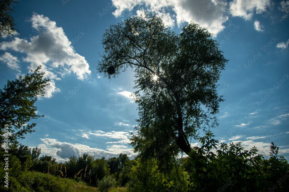 Obraz premium krajobraz