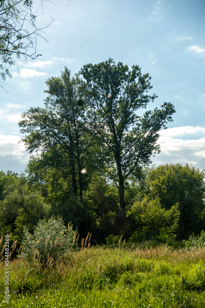 Obraz premium krajobraz