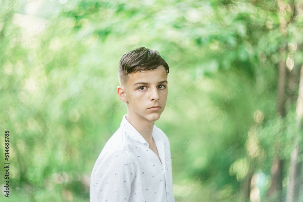 portrait of a handsome boy in natural light portrait of a handsome boy in natural light