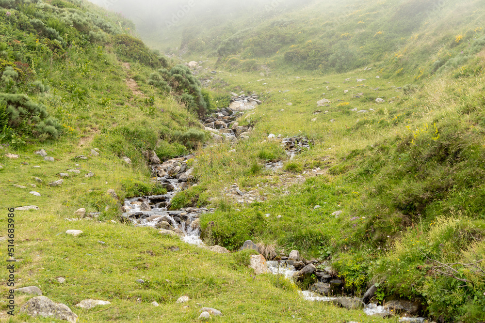Small winding stream running down the mountain on a foggy day