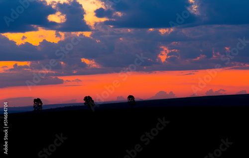 Photo against light of nature and sunset © Fabricio UZ