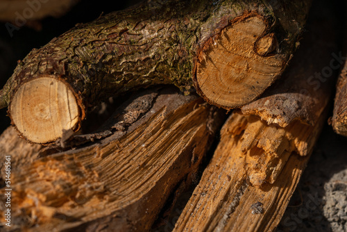 Cut wood logs