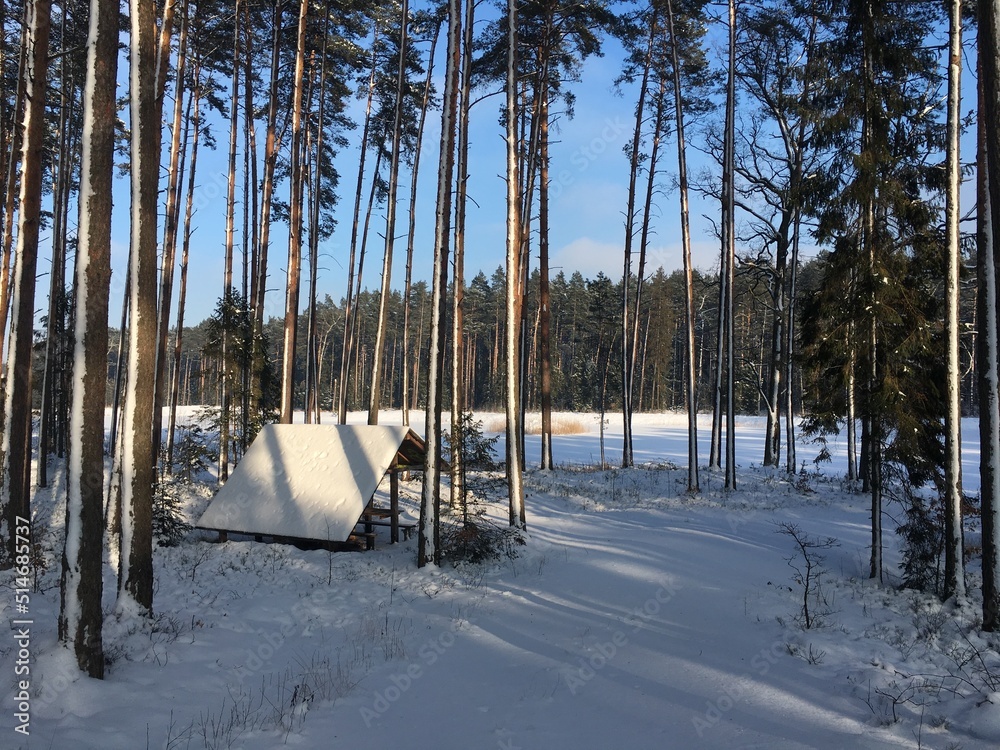 zima