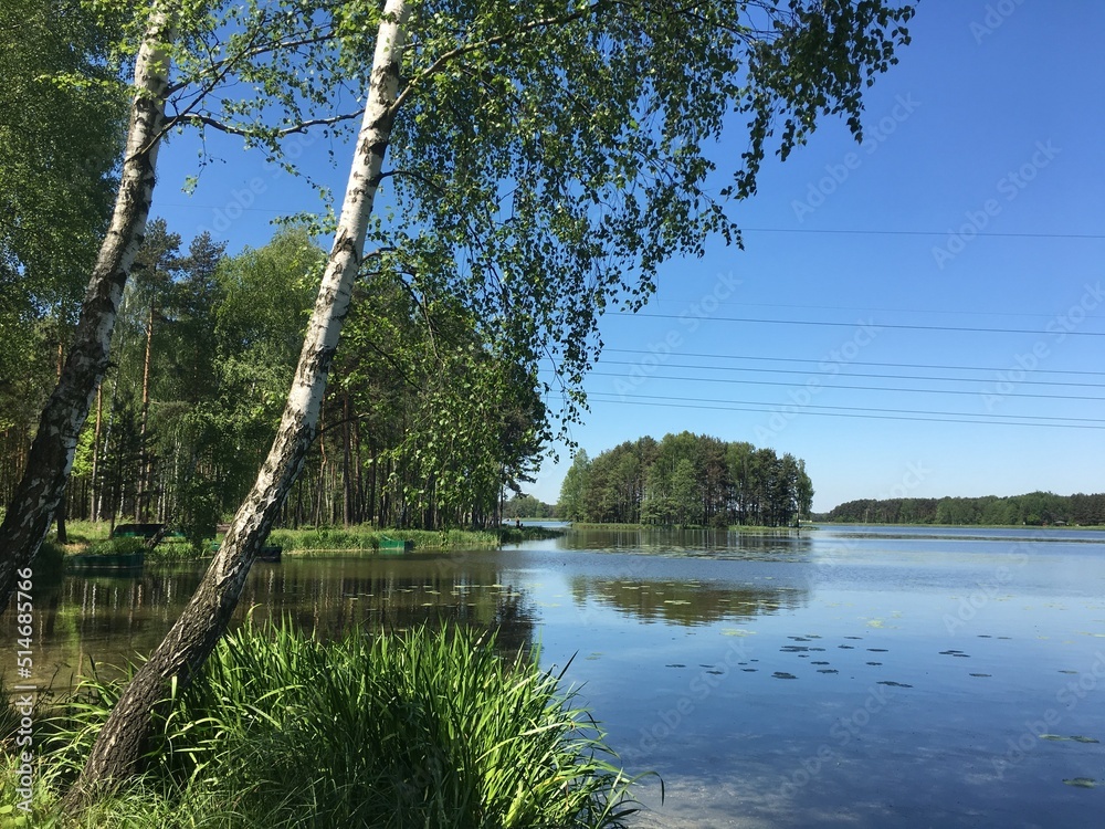 Widok