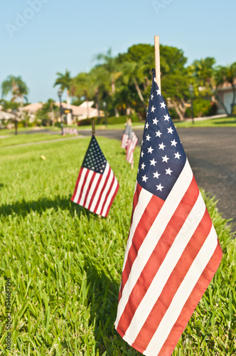 front view, close distance of a row of small American flags on the front edge of a tropical residence