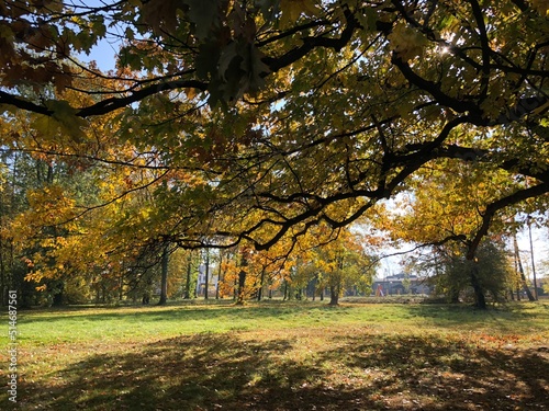 Park