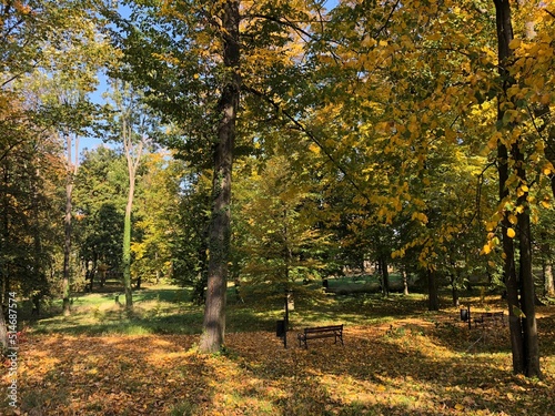 Park