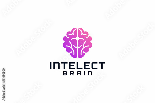 Smart creative intelect brain education logo design photo