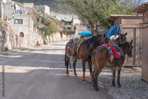 Horses on the narrow street of Real de Catorce, Mexico photo