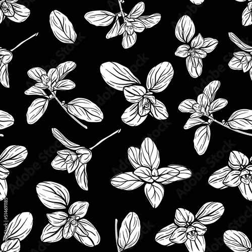 Basil Seamless Pattern. Italian herbs.A sprig of marjoram. Basil is a fragrant and fragrant seasoning. Hand-drawn illustration