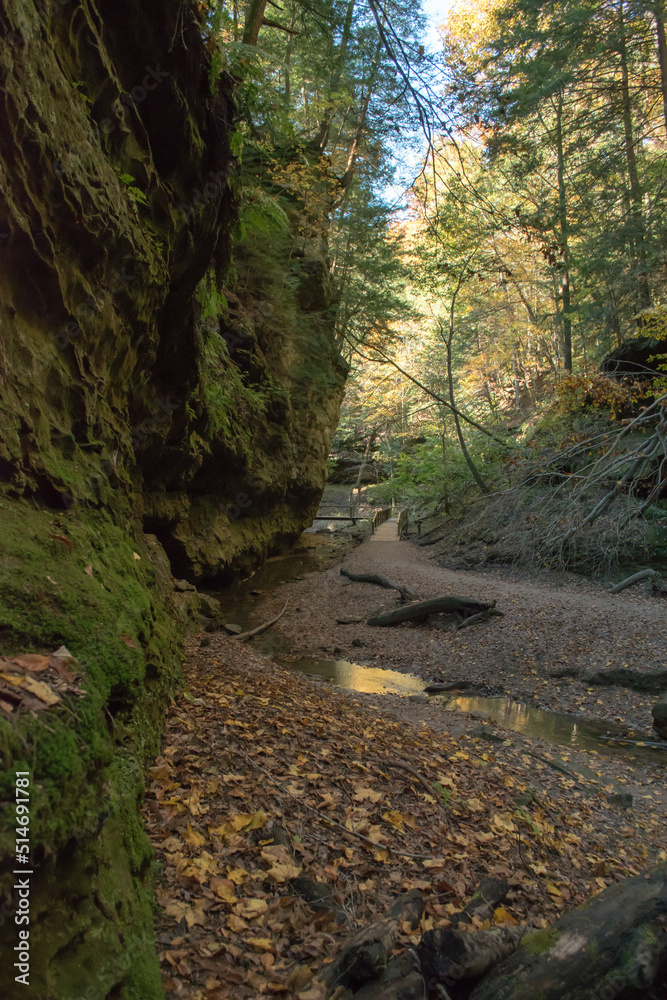 A trail in Turkey Run State Park winds along a wall of shale and a creek bed covered in fall leaves. A trail in Turkey Run State Park winds along a wall of shale and a creek bed covered in fall leaves.