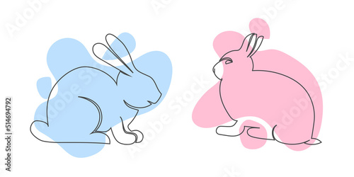 Vector set illustration of rabbit in modern style