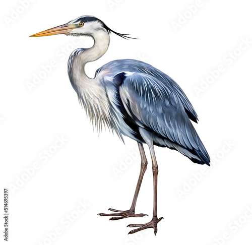 Canvastavla Gray heron (Ardea cinerea)