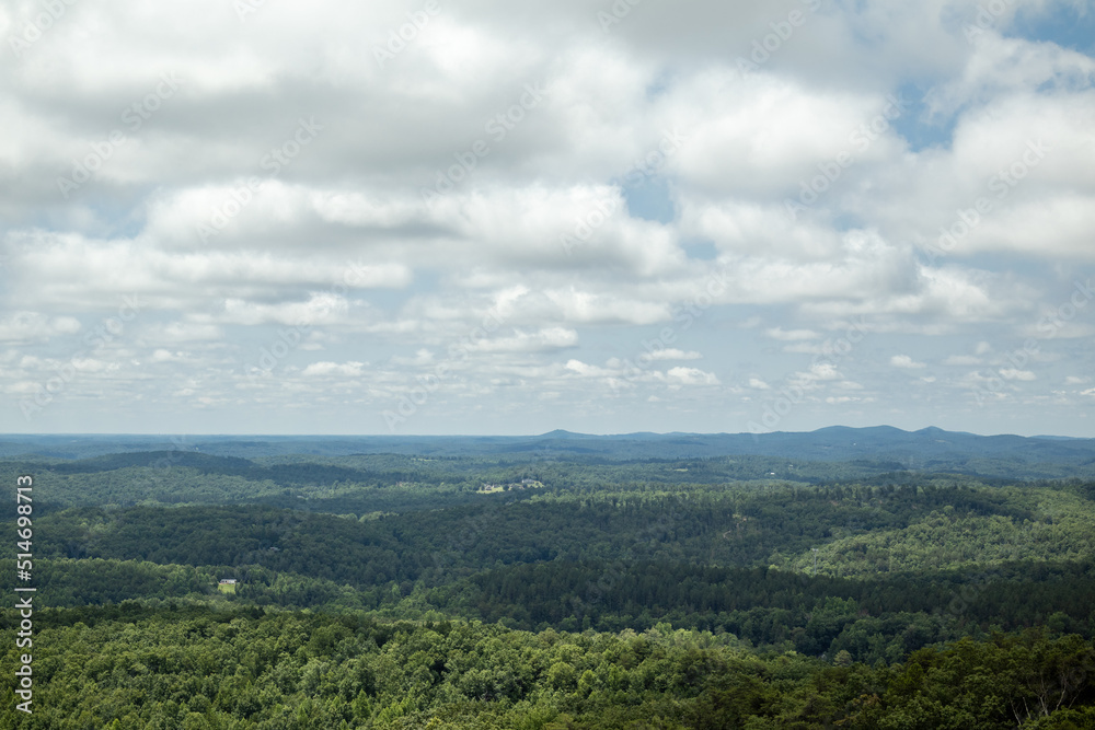 clouds over the forest