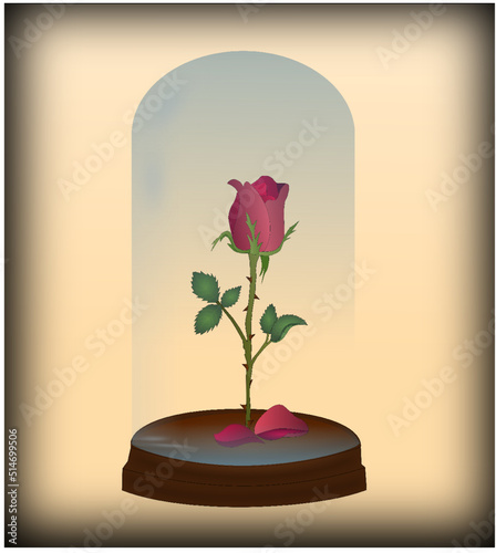 Forever rose, eternal rose