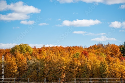 Fall colors meet blue sky with orange, red, and yellow