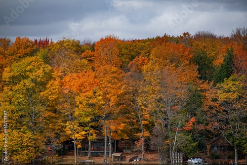 Canvas Print Fall colors abound