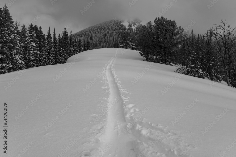 Obraz premium Utah Skier