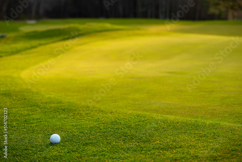 Golf ball on the green grass of a golf course in sunlight. 
