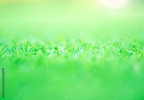 Abstract green grass and sun bokeh blur background beautiful abstract