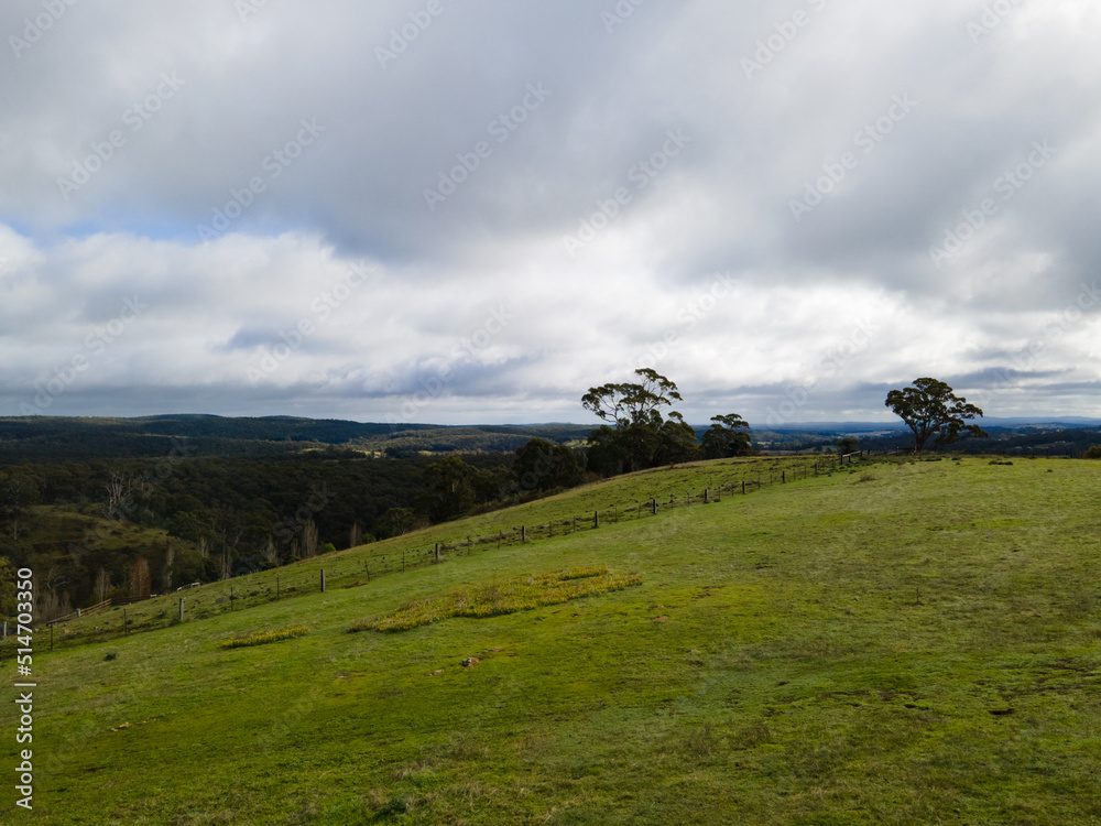 Fototapeta premium Farm life in Australia