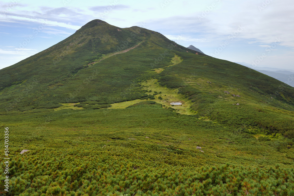Fototapeta premium オッカバケ岳から見たサシルイ岳（北海道・知床） 