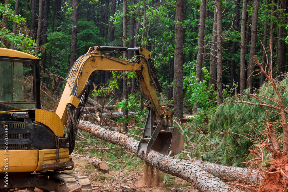 Work is done on a tractor manipulator in forests, which lifts logs the purification of land for housing construction. Work is done on a tractor manipulator in forests, which lifts logs the purification of land for housing construction.
