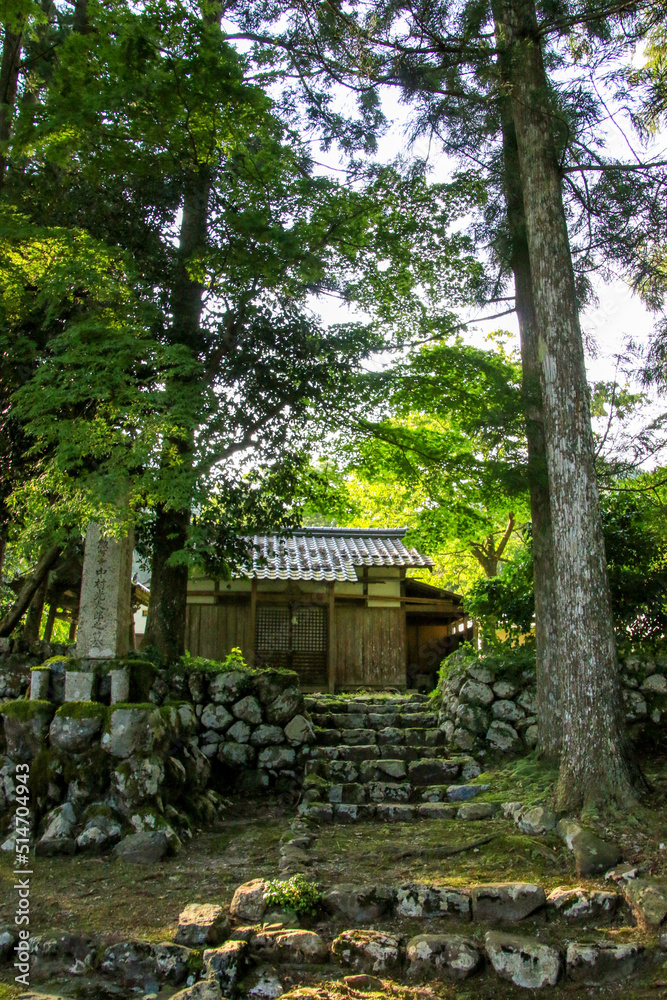 興聖寺 興聖寺