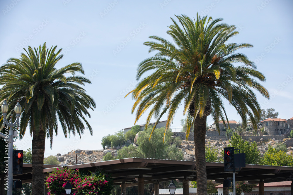 Fototapeta premium Daytime tree framed view of downtown Perris, California, USA.