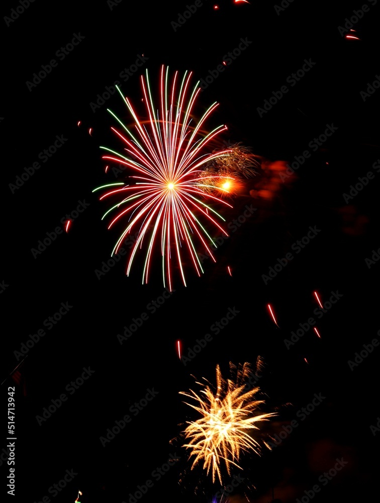 Fototapeta premium fireworks in the night sky