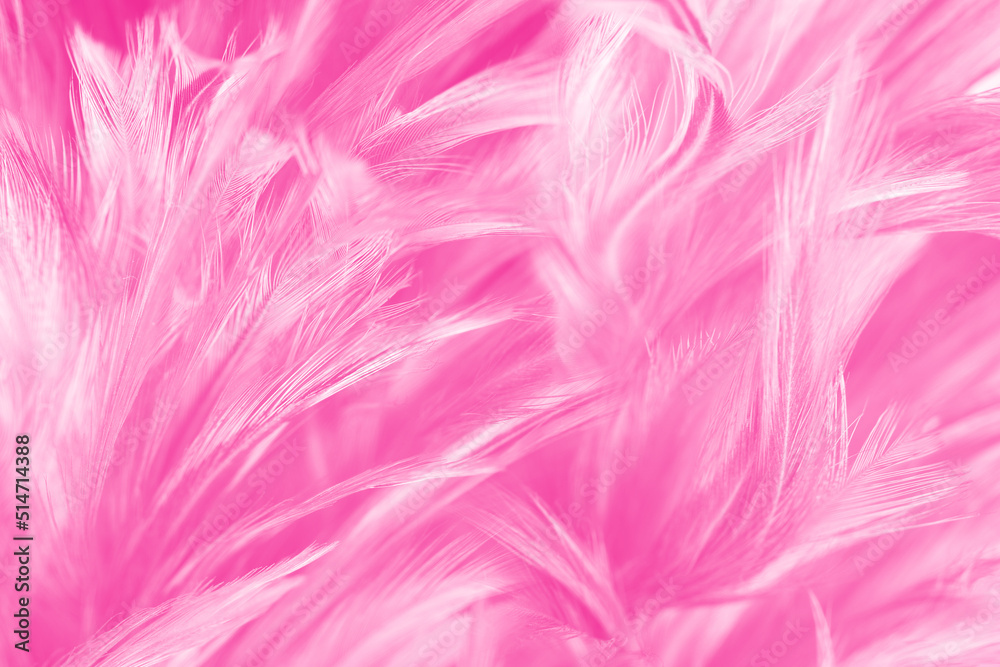 Beautiful pink magenta lines feather texture pattern background