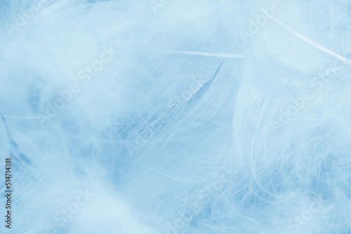 Beautiful  white  color trends feather pattern texture pastel blue turquoise background
