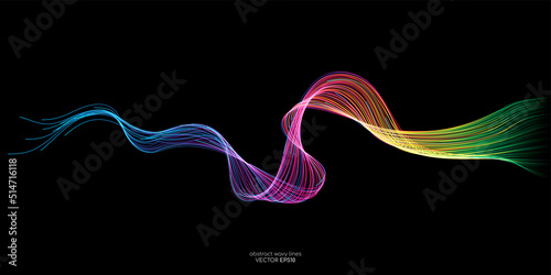 Abstract vector colorful spectrum light wave lines flowing isolated on black background.
