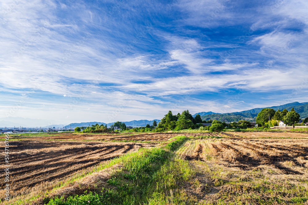 麦の刈り入れが終わったあとの田園風景 麦の刈り入れが終わったあとの田園風景