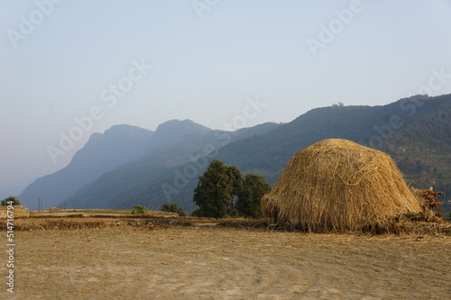 ネパール ダンプス
Nepal Dhampus